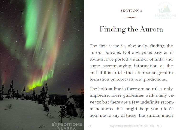 Free northern lights photography guidebook by Carl Donohue & Expeditions Alaska. Aurora over spruce forest, Alaska.