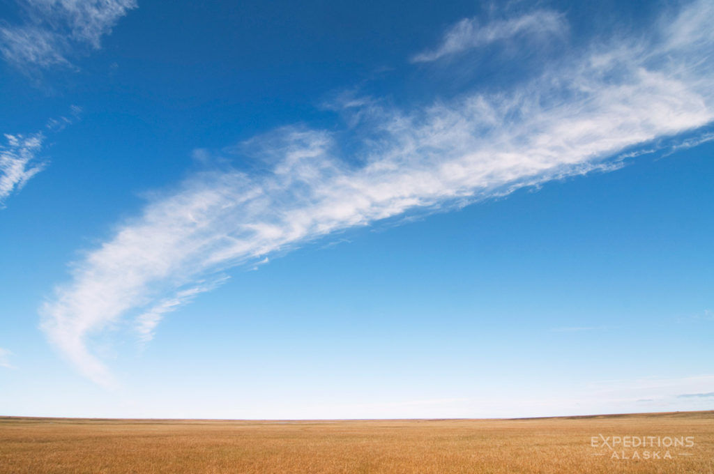 Arctic National Wildlife Refuge coastal plain photo Alaska.