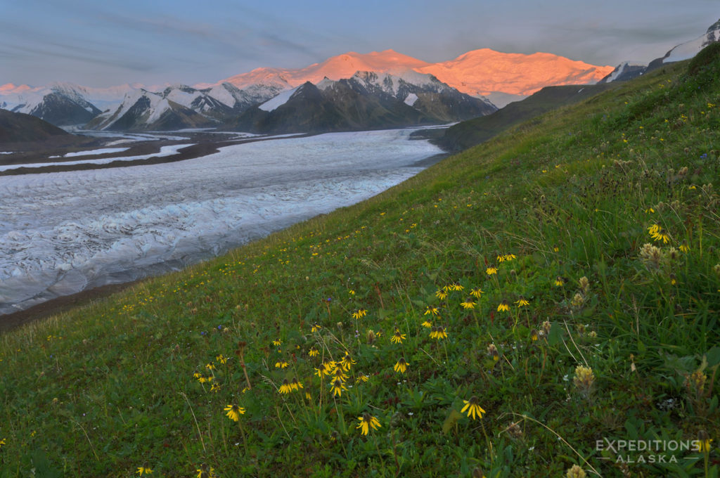 Wrangell-St. Elias National Park and Preserve photo of Mt Bona and Russell Glacier, Alaska.