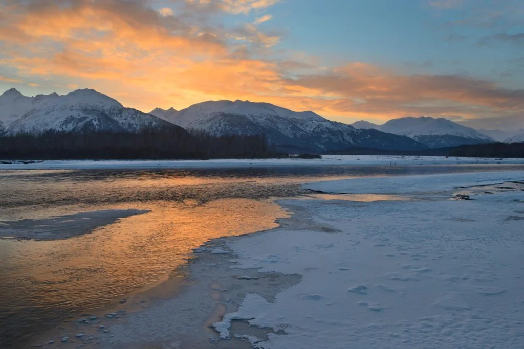 Haines, Alaska Chilkat River, Bald Eagle preserve, Alaska.