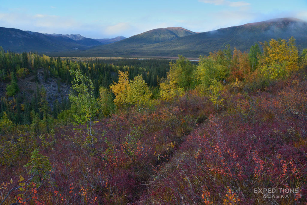 Gates of the Arctic National Park photo Brooks Range in fall colors, Alaska.