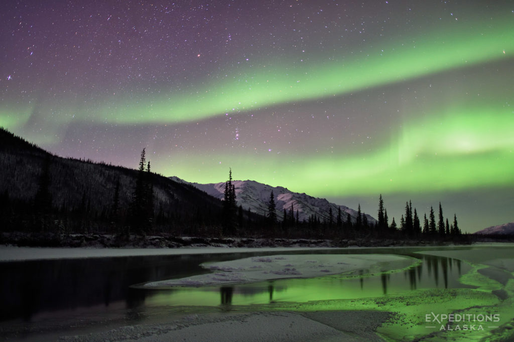 Northern lights photography tour and Koyukuk River, Alaska.