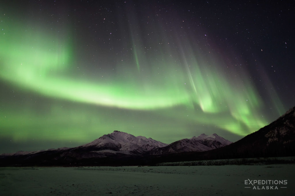 Northern lights photo tours Alaska.