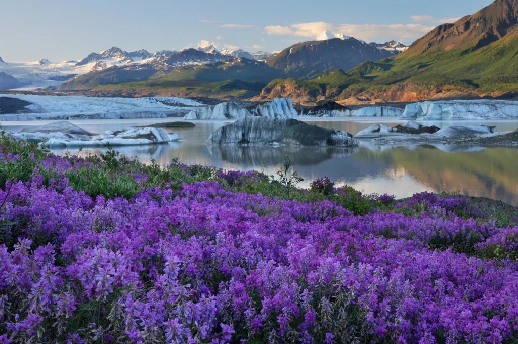 Expeditions Alaska yoga Retreat to Nizina Glacier, Wrangell-St. Elias National Park.