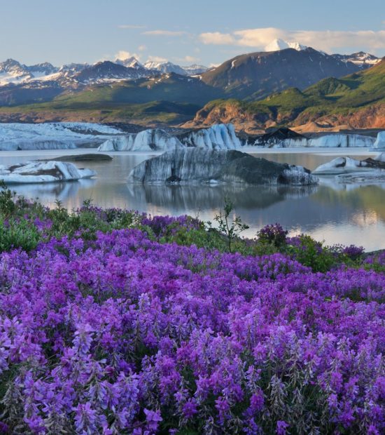 Expeditions Alaska yoga Retreat to Nizina Glacier, Wrangell-St. Elias National Park.