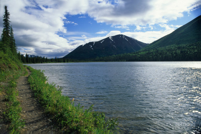 Week long hiking trip on Resurrection Pass Trail, Chugach National Forest, Alaska.