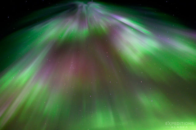 Northern lights corona, aurora borealis, Alaska.