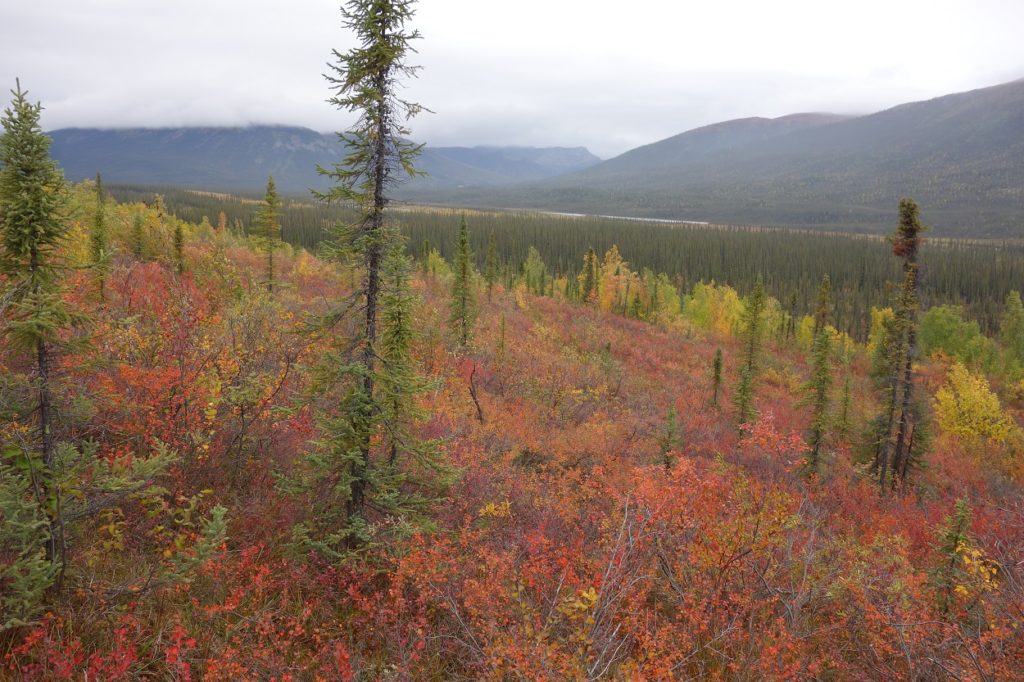 Gates of the Arctic National Park and Preserve, Alaska.