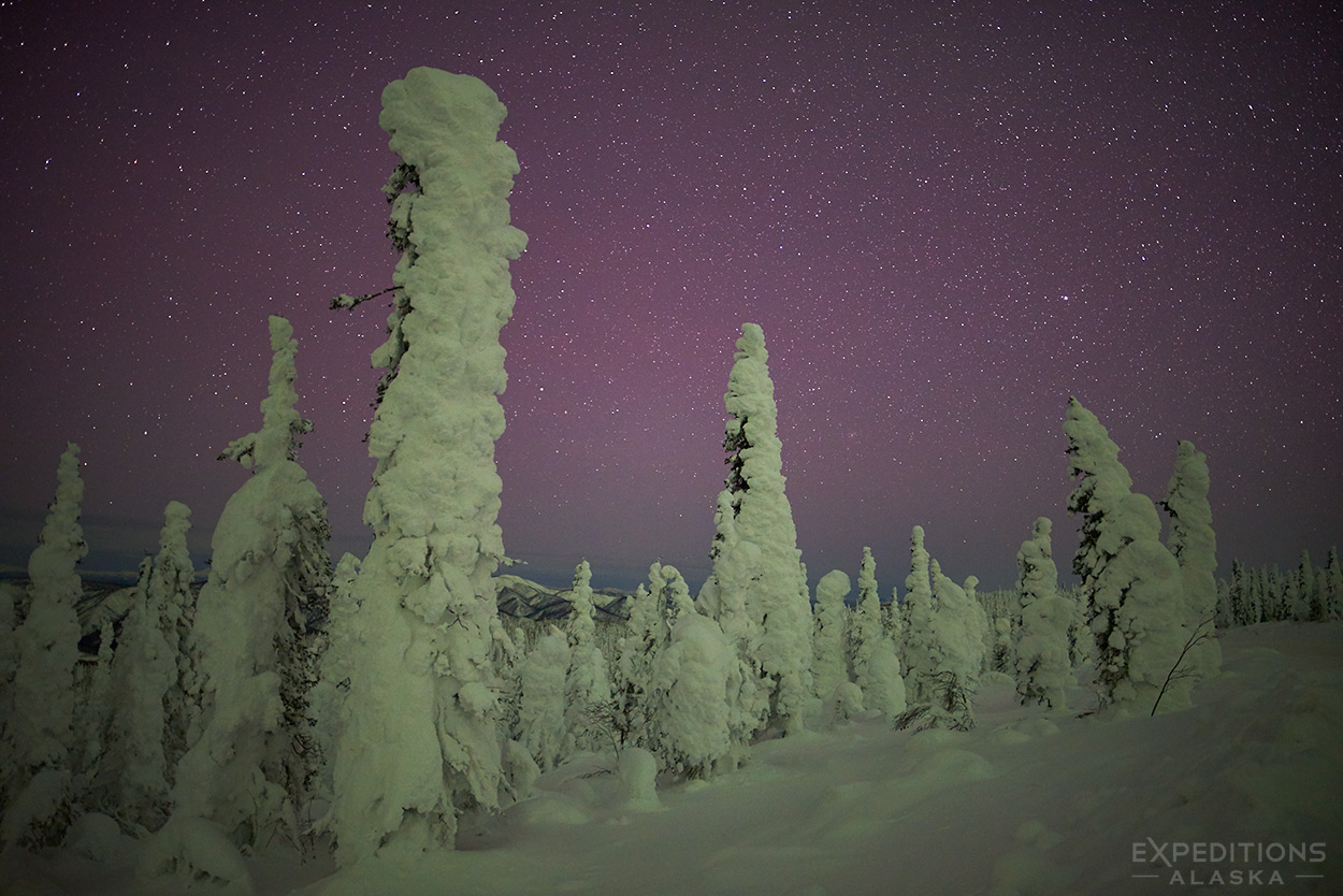 A beautiful evening sky against the arctic Alaskan boreal forest, Alaska.