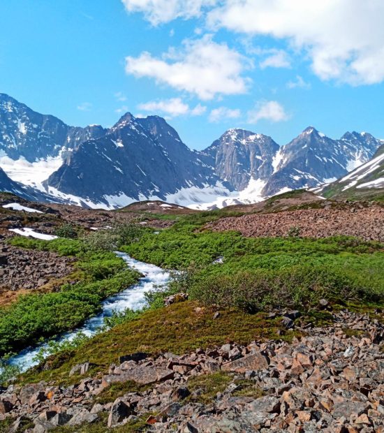 Eastern Chugach Mountains Alaska