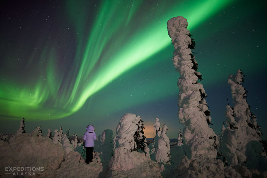 Alaska northern lights photo tour