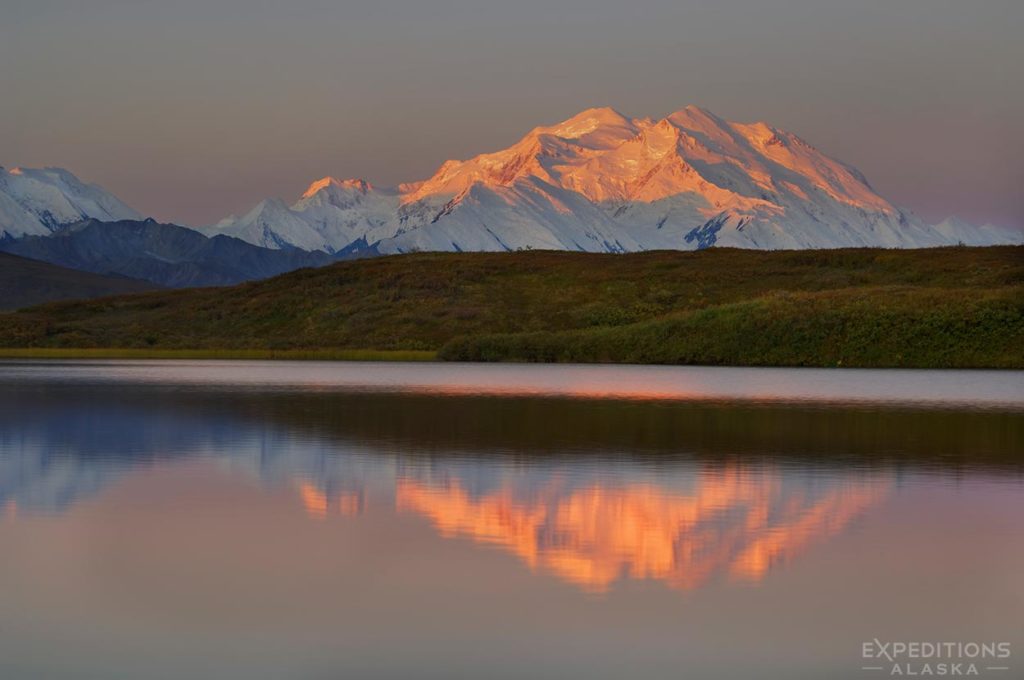 Alpenglow and reflection of Mt. Denali, Denali National Park, Alaska.