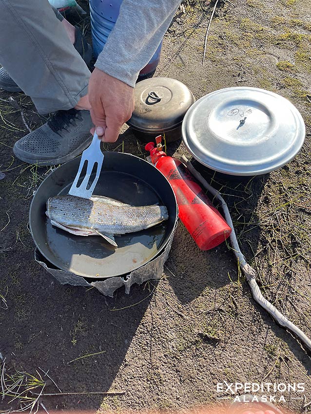 Cooking up fish for dinner on Copper River, Wrangell - St. Elias National Park, Alaska.