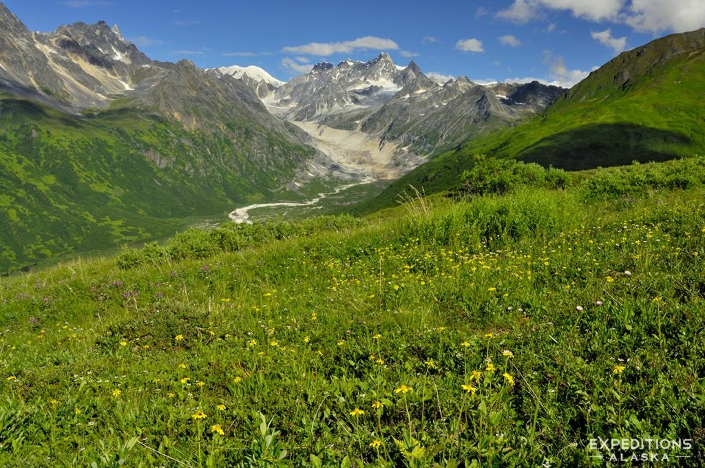 Backpacking Whale's Tale, Denali National Park, Alaska.