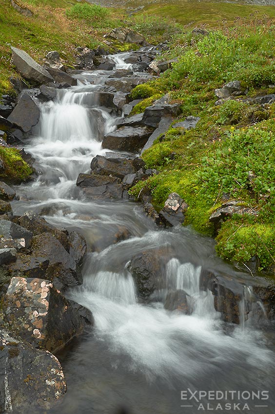 Waterfall in Denali National Park backpacking trip, Alaska.