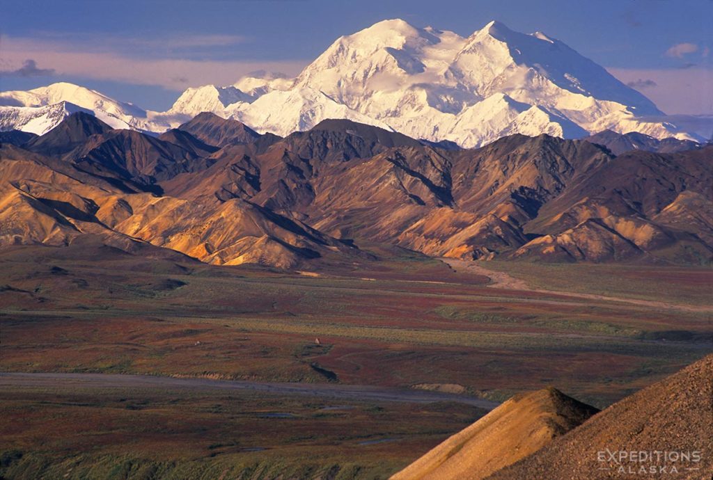 Morning light over Mt. Denali, Denali National Park, Alaska.