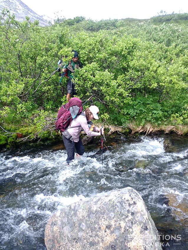 Brush and streams to manage, 7 Pass , Wrangell - St. Elias National Park, Alaska.