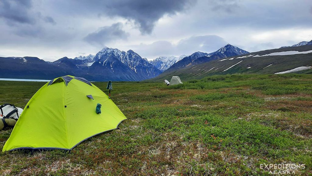 Camping on tundra, Turquoise Lake basecamp trip, Lake Clark National Park, Alaska.
