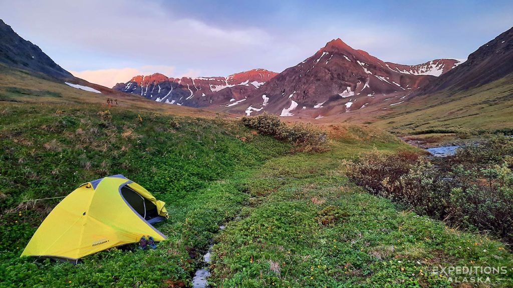 Alpine campsite, Lake Clark National Park, Turquoise Lake, Alaska.