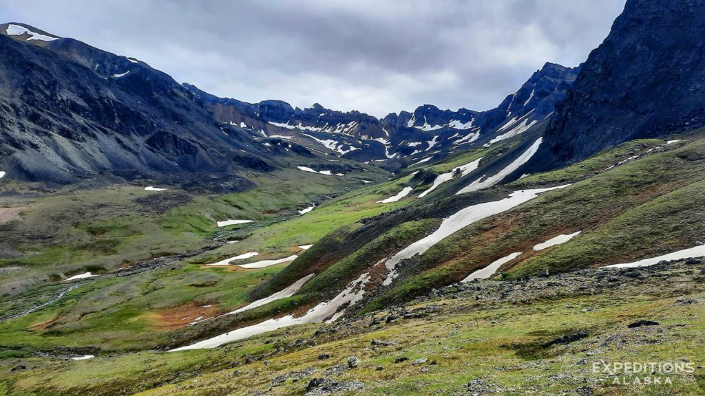 The alpine area, Turquoise Lake, Lake Clark National Park, Alaska.