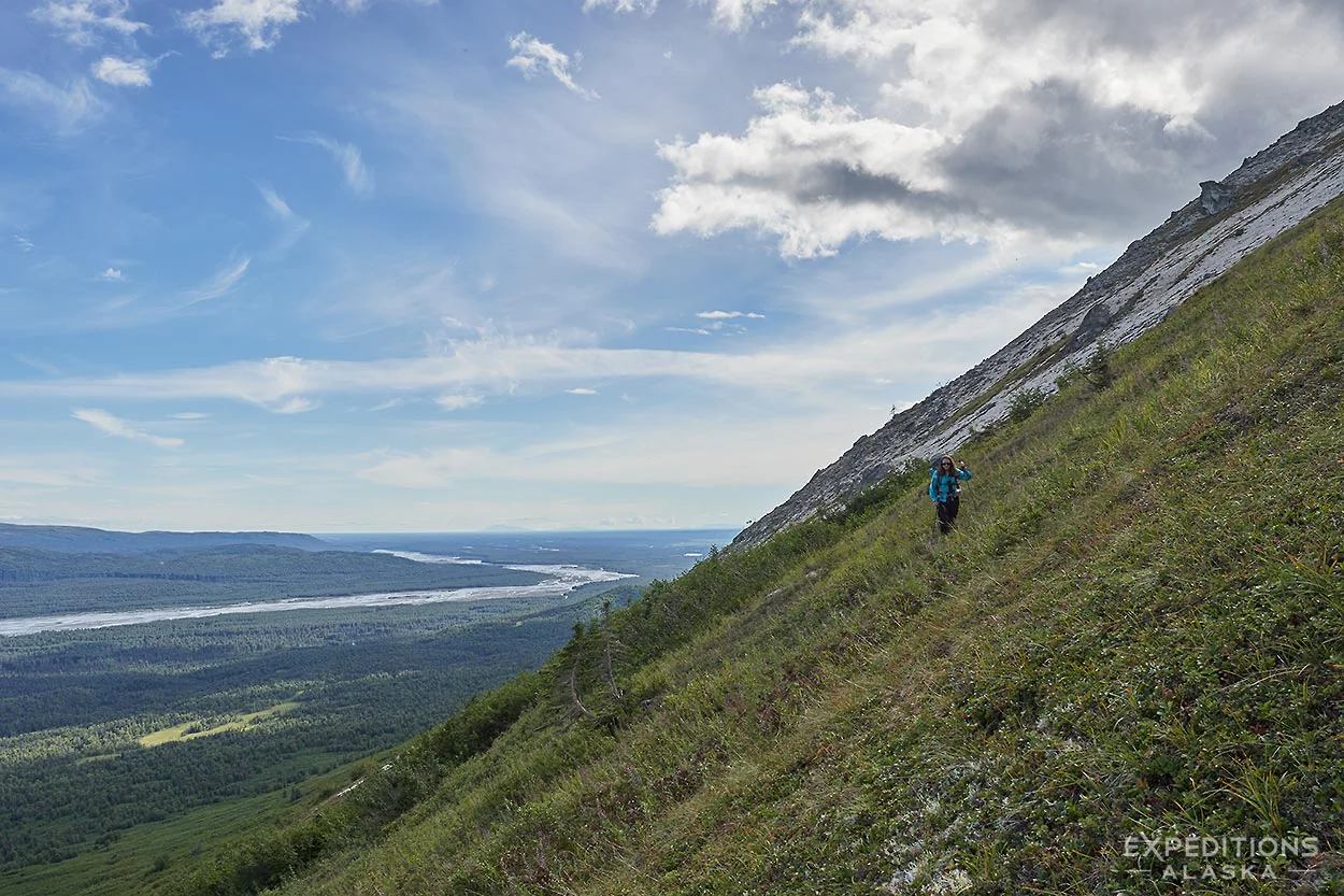 Sidehilling on a backpacking trip in Denali National Park Alaska.