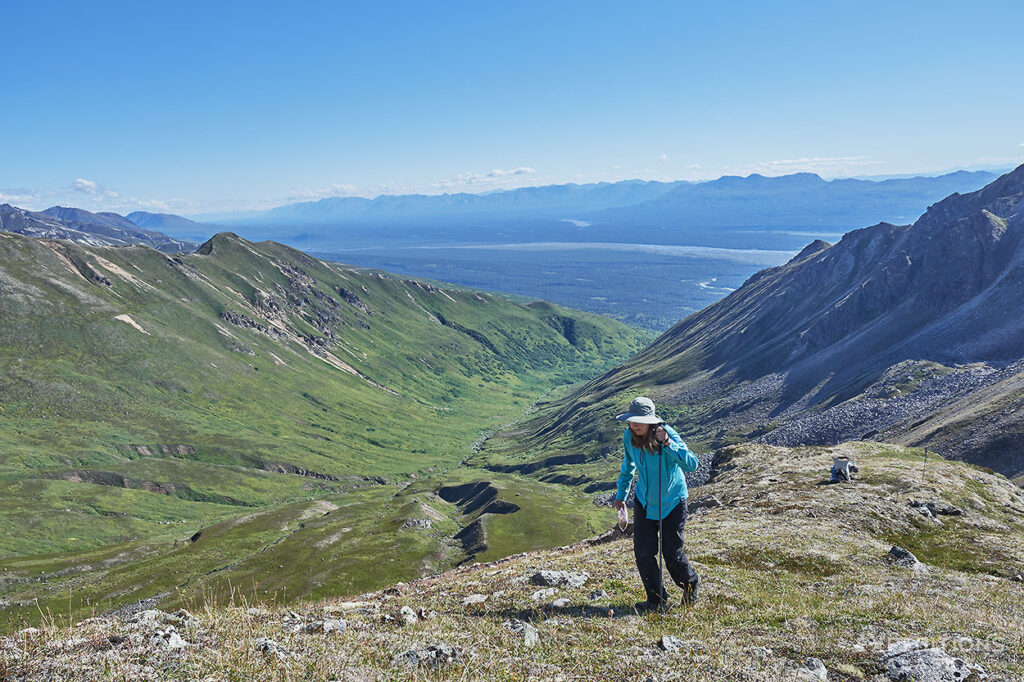 Backpacking up the mountains in Denali National Park.