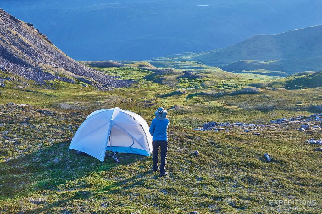 Room With a View, backpacking trip in Denali National Park, Alaska.