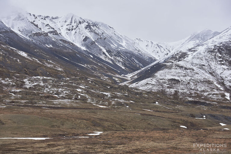 Coming toward the high pass on the Arctic National Wildlife Refuge backpacking trip.