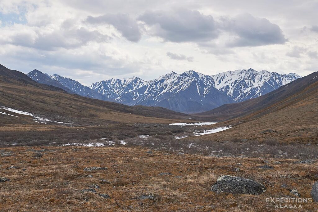 Mountains of Coming toward the high pass on the Arctic National Wildlife Refuge backpacking trip.