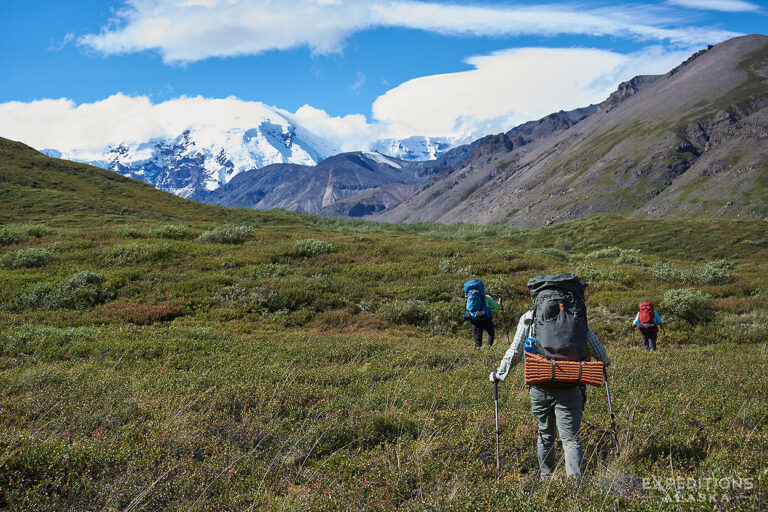 Slogging towards Mt. Jarvis.