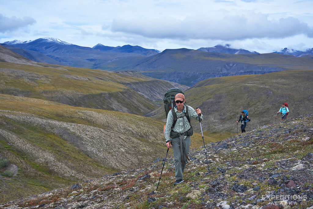 Walking on the tundra .