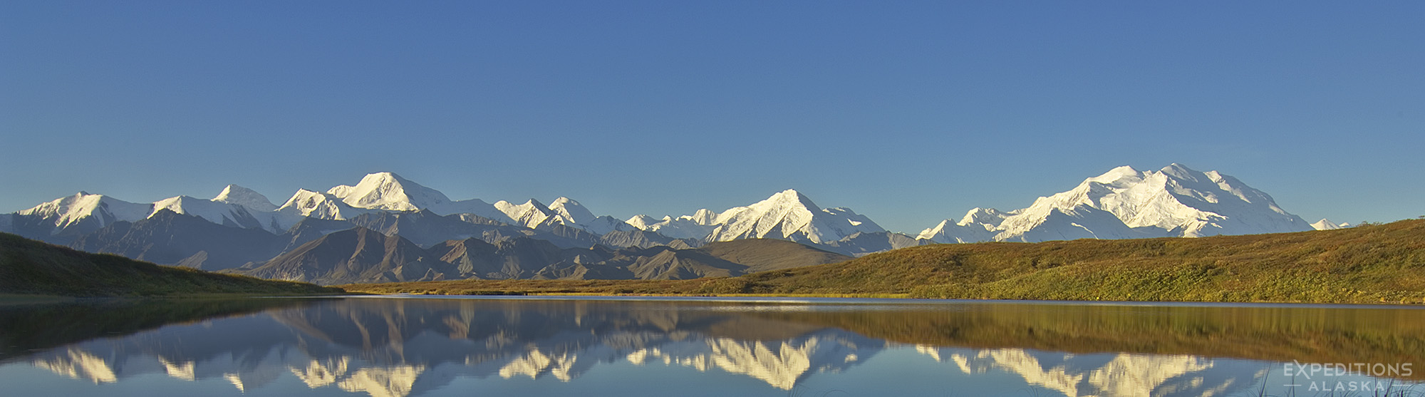 "Denali", officially again known as Mt. Denali, the highest peak in North America, stands above the Alaska Range, a small kettle pond returning a perfect reflection. Denali National Park, Alaska.
