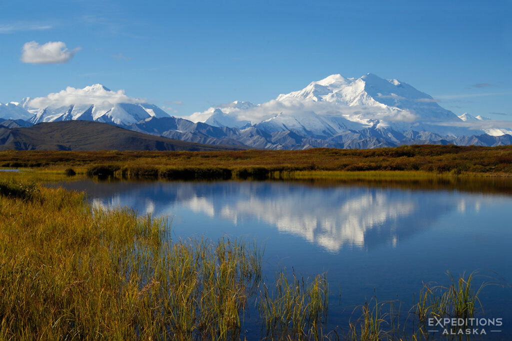 Denali or Mt. McKinley and a reflection, in Denali National Park, Alaska