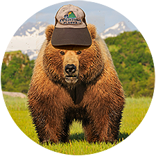 Expeditions Alaska brown bear photo tours.
