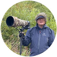 Alaska bear photo tour review and aurora borealis tour review