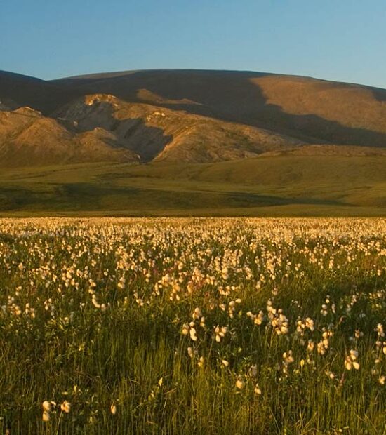 Foothills of the Brooks Range and the Arctic Coastal Plain, ANWR, Alaska.