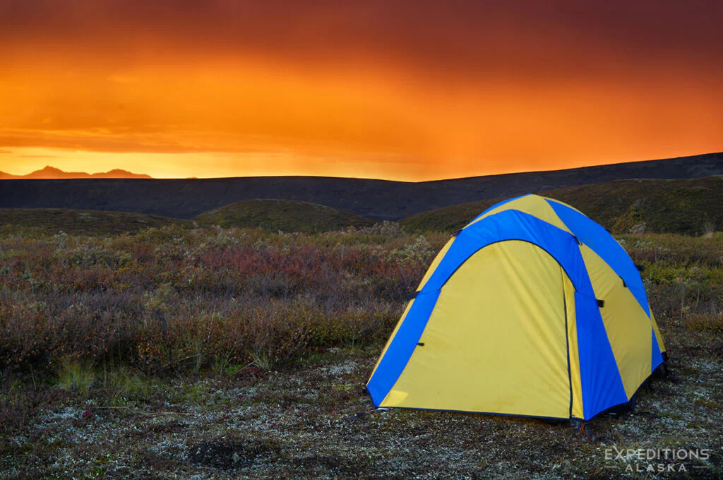 Backcountry camping in Denali National Park and Preserve at sunset.