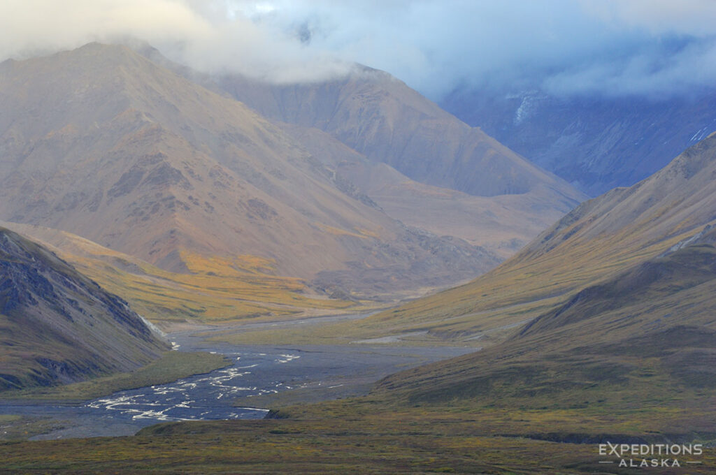 Ridges and valleys in Denali National Park and Preserve.