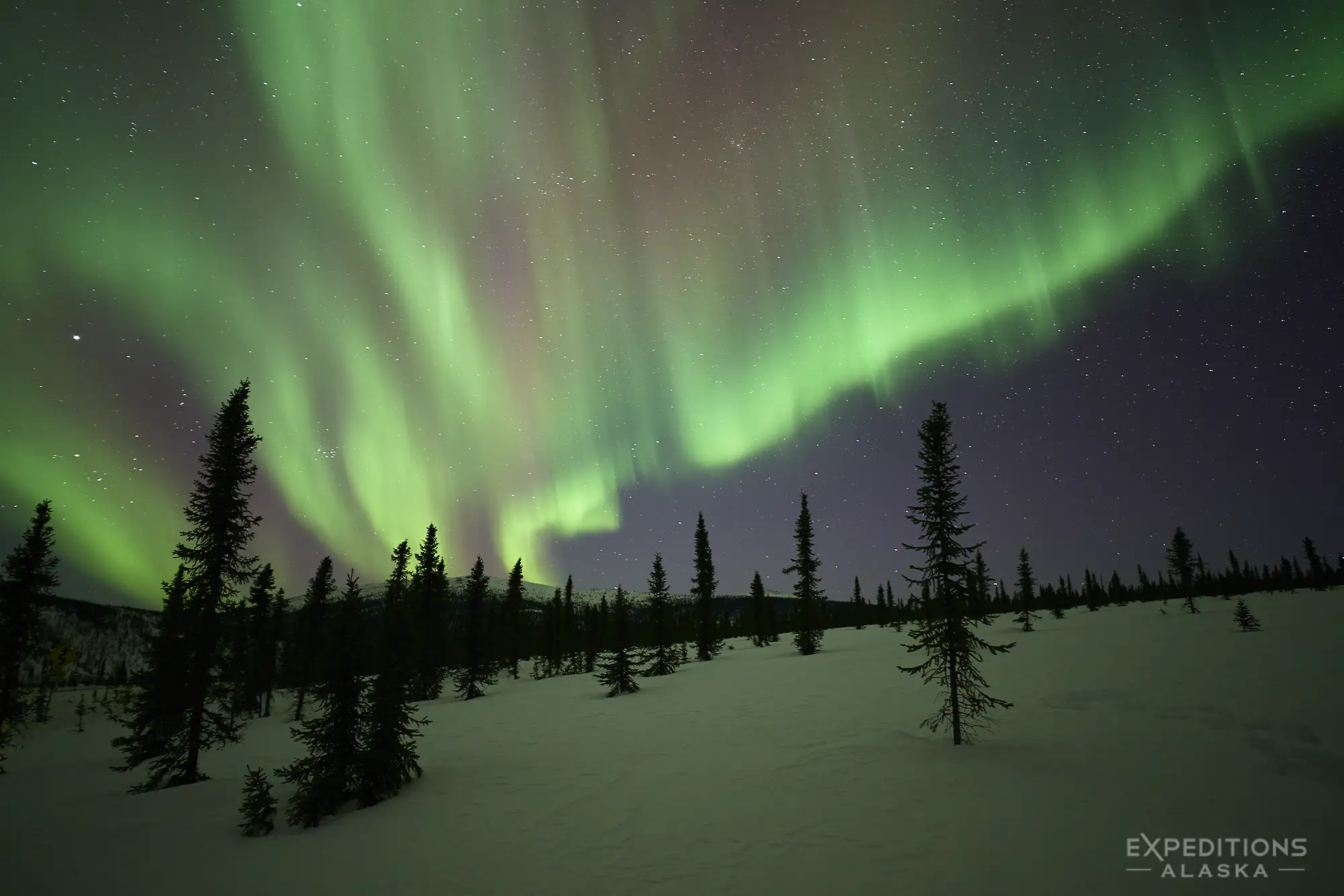 All you need to know about Alaska northern lights.