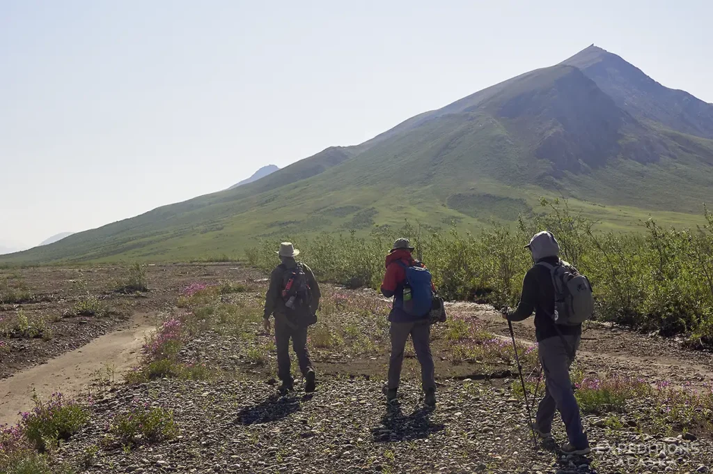 Hikers walking near Noatak River, Alaska.