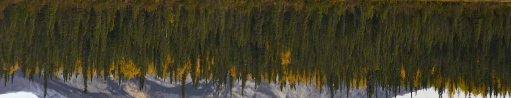 A near perfect reflection Takahula Lake, Gates of the Arctic National Park.