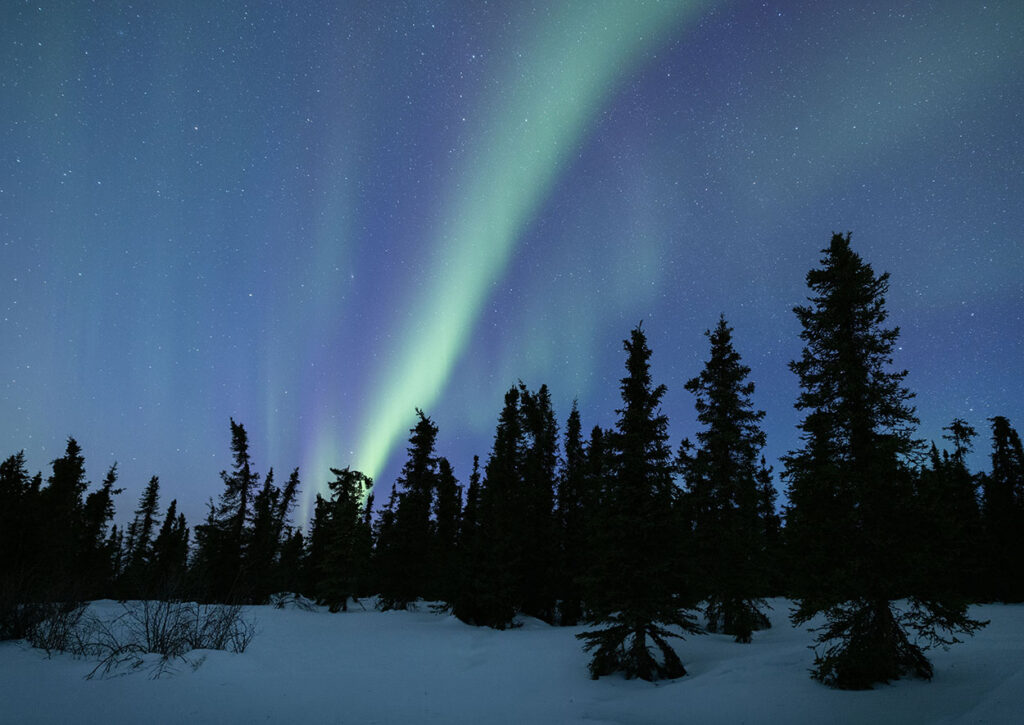 Photo of the Aurora borealis over the boreal forest in northern Alaska.