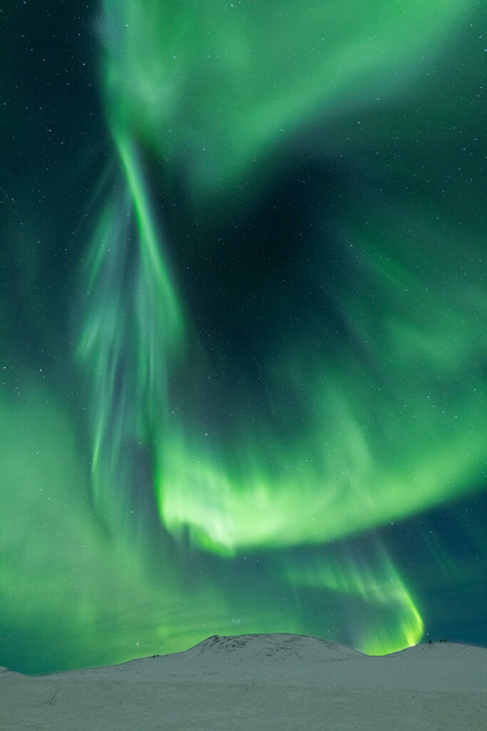 A guest image of the aurora borealis over the White Mountains of Central Alaska. Taken on our Aurora borealis photo tour.